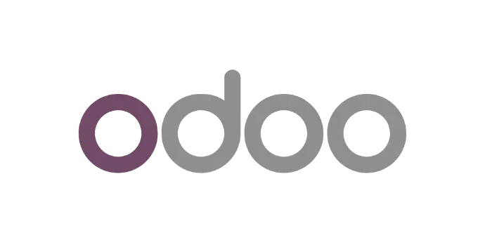 Odoo Technical Adviser